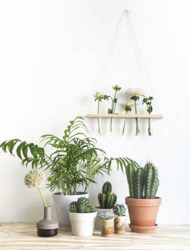 Как сделать съёмную квартиру уютной: 10 полезных советов